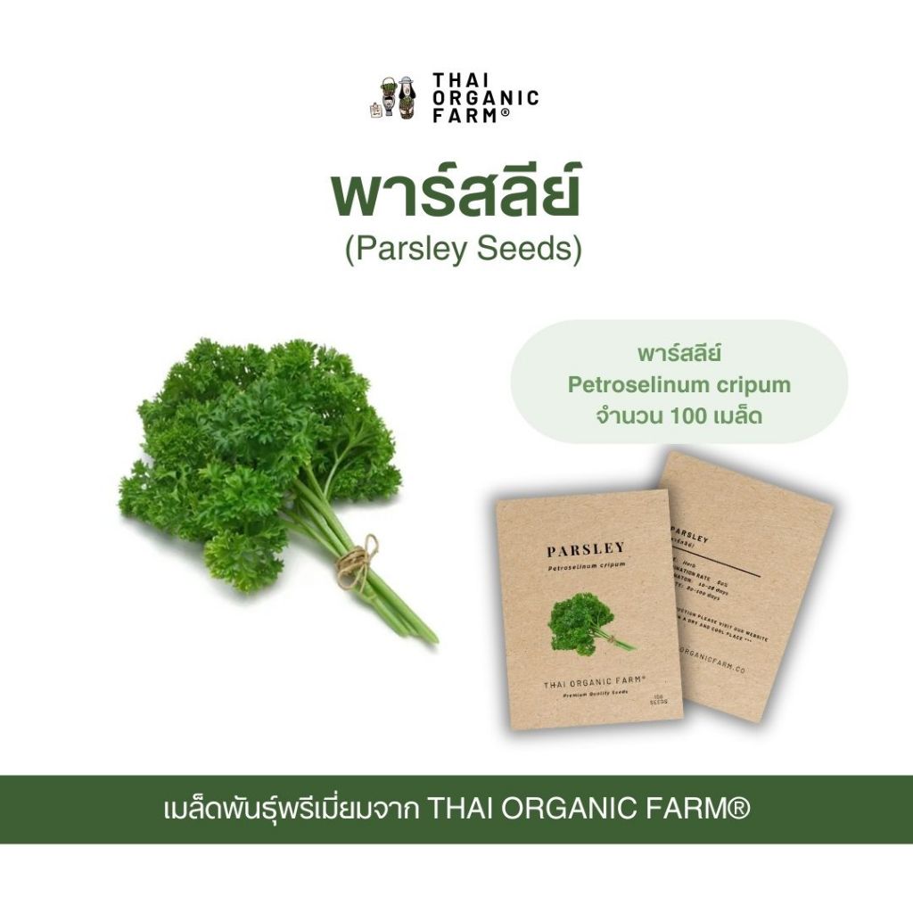 Premium Quality Seeds เมล็ดพันธุ์ พาร์สลีย์ พรีเมี่ยม THAI ORGANIC FARM®