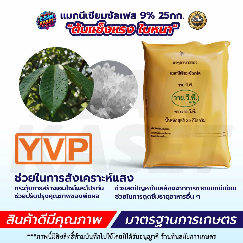 โพแทสเซียมไนเตรท13-0-46 แคลเซียมไนเตรท 15.5-0-0-26.5CaO ขนาด 25Kg. ใช้ผสมน้ำละลายได้ ราคา ถูกที่สุด ดีลบีเคเค แกลเลอรีภาพที่ 3