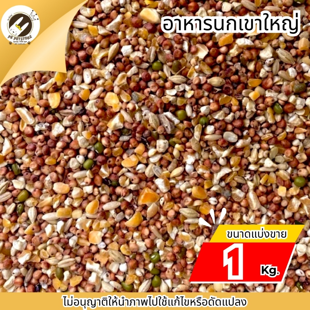 ธัญพืช Seed นกเขาใหญ่ (เขาใหญ่) สำหรับ นกทุกสายพันธุ์ หนูแฮมเตอร์ กระรอก และสัตว์ฟันเทะ (แบ่งขาย1กิโลกรัม)