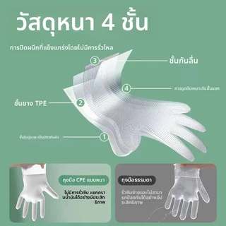 100 ชิ้น/กล่อง ถุงมือทำอาหาร TPE อเนกประสงค์ ใช้แล้วทิ้ง