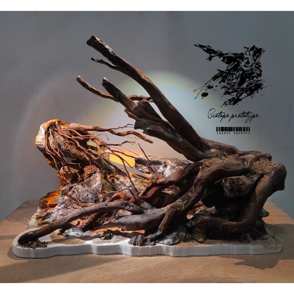 Layout ตู้ปลา, เลย์เอาท์ตู้ไม้น้ำ,เลย์เอาท์ตู้ปลาสำเร็จรูป 14 นิ้ว