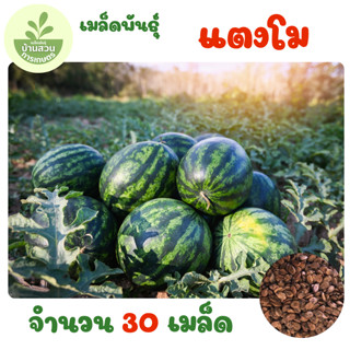 เมล็ดพันธุ์แตงโม จำนวน 30 เมล็ด