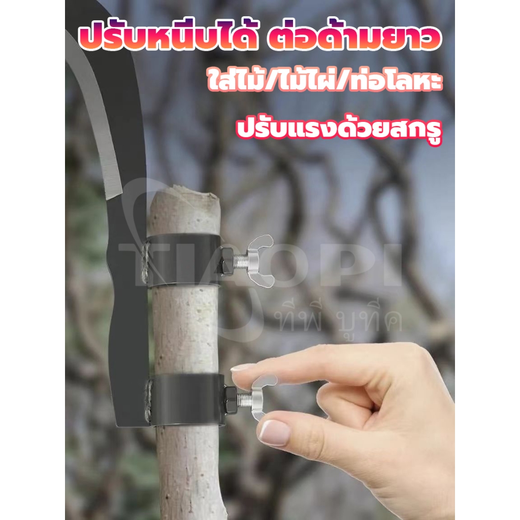 มีดขอเกี่ยวผลไม้ เคียวเกี่ยวผลไม้บนที่สูง ไม่ต้องปีนป่าย ให้เสี่ยงอันตราย เหล็กแมงกานีสขนาดใหญ่หนาคม ราคา ถูกที่สุด ดีลบีเคเค แกลเลอรีภาพที่ 9