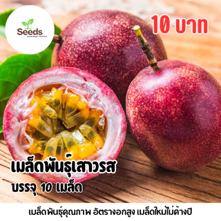 เมล็ดพันธุ์เสาวรส บรรจุ 10 เมล็ด
