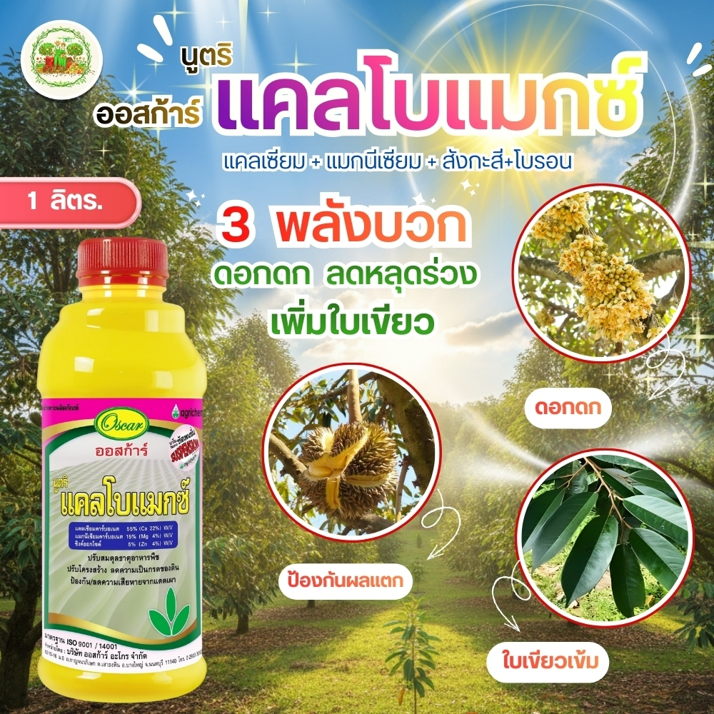 แคลโบแมกซ์ แคลเซียมโบรอน ( Ca22% Mg4.8% Zn4.8% B 0.14% ) สร้างเนื้อ  ขยายผล ขนาด 1 ลิตร #ออสก้าร์ #แคลเซียมโบรอน