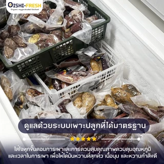 Oishi-Fresh อันดับ 1 มันหวานญี่ปุ่นเบนิฮารุกะ 5 ยี่ห้อเผาพร้อมทาน เนื้อเหลือง หอม หวาน 1 กก.4-6 หัว ก่อนเผา จัดส่ง 24ชม.