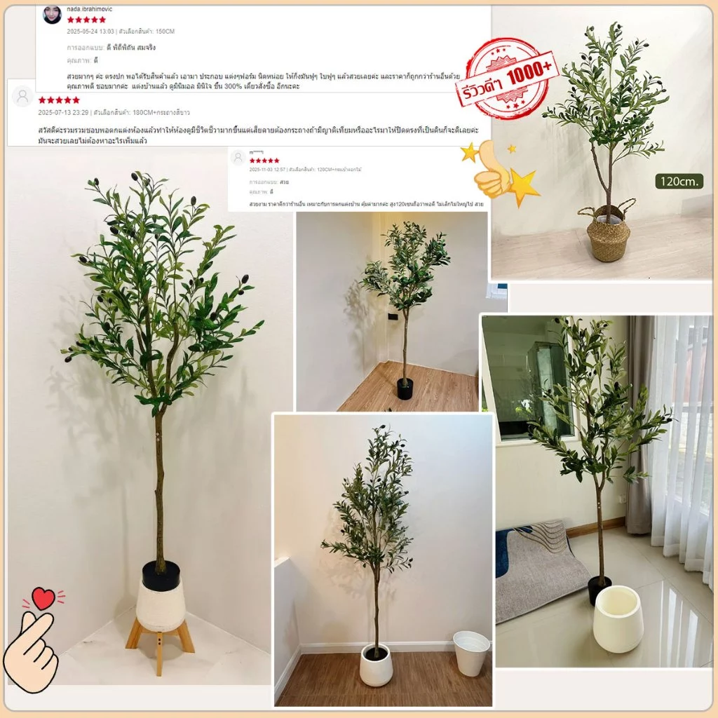 ต้นโอลีฟปลอม ต้นมะกอกประดิษฐ์ ลำต้นเหมือนจริง ตกแต่งบ้าน thumbnail 4