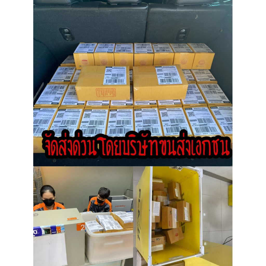 ไข่เชื้อไก่ชน ลูกกุมารจีน รับประกันเชื้อ จัดส่งด่วนทั่วประเทศ ราคา ถูกที่สุด ดีลบีเคเค แกลเลอรีภาพที่ 9