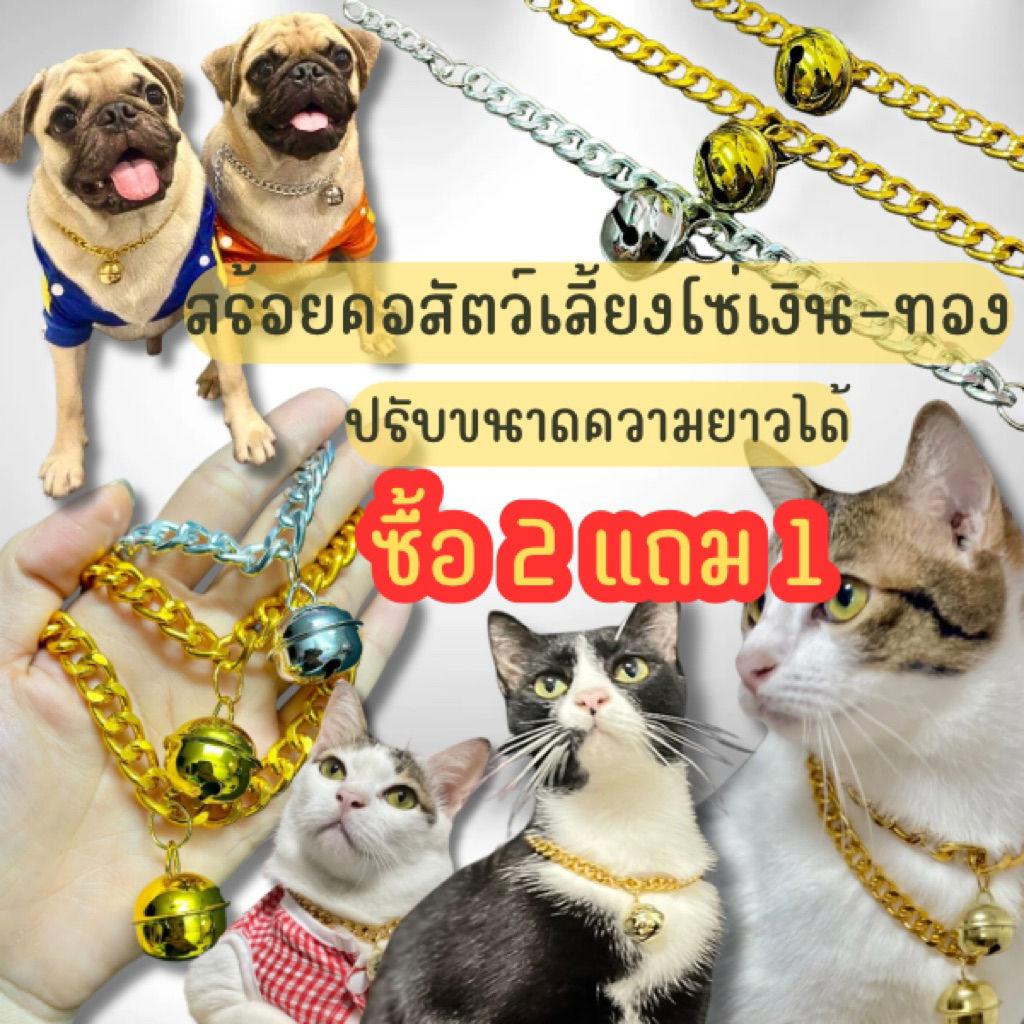 ปลอกคอสร้อยคอ หมาแมว ซื้อ2แถม1 โซ่สแตนเลสกระดิ่งทรายเงิน-ทรายทอง และ ธรรมดา 16-70 ซม. ขยายได้