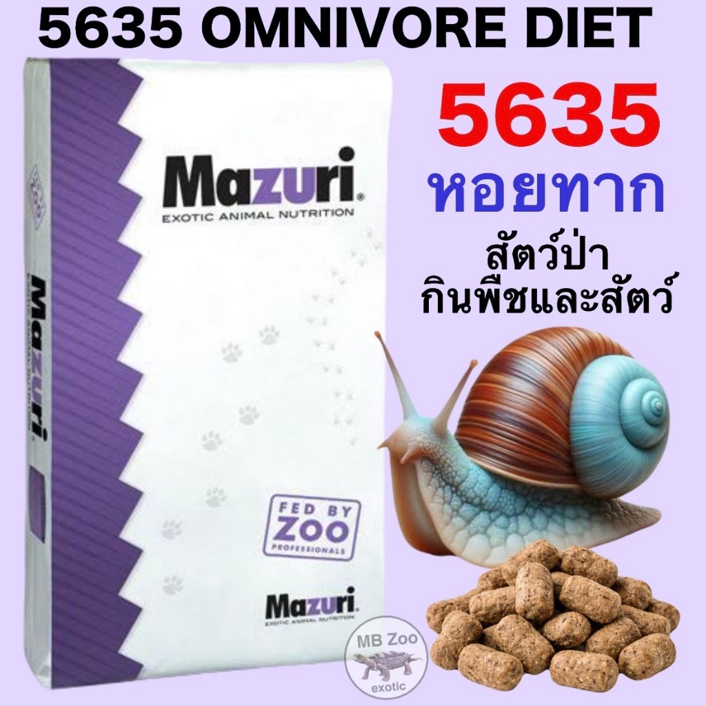 ทาก แรคูน สกังค์ หมี อีเห็น หมูป่า หมี สัตว์ป่ากินพืชและสัตว์ Omnivore Diet
