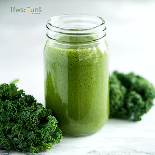 ผงผักเคล มีอย. แท้ ไม่ผสมแป้งและน้ำตาล แบรนด์ไร่พระจันทร์ ( Kale powder ผงผักแคล แคล เคล เคลผง ผักแคล ผักเคล ผักเคลผง )