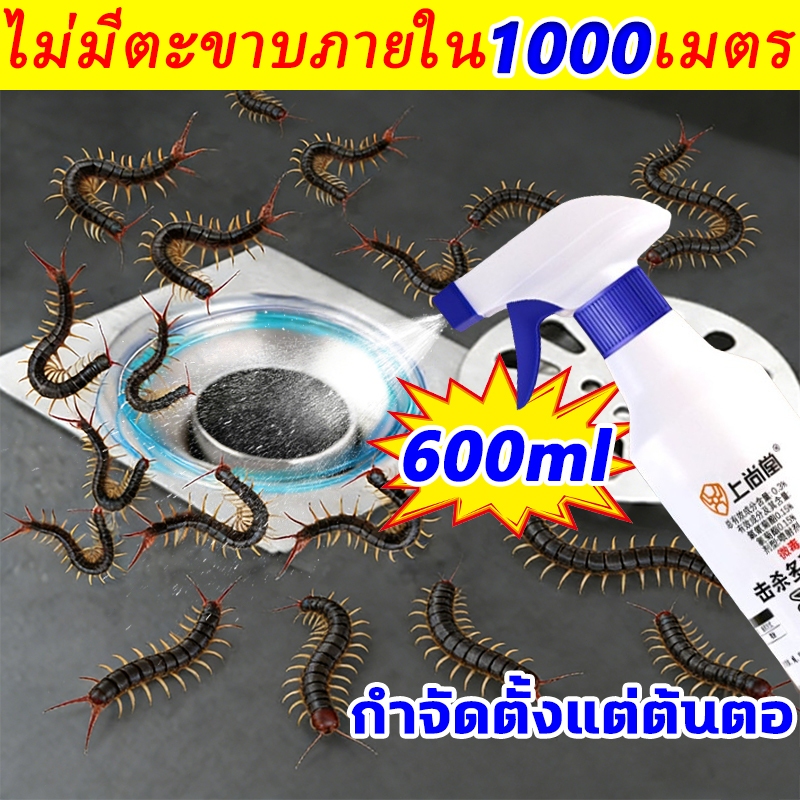 ไม่มีตะขาบในรอบ 10 ปี ยาไล่ตะขาบ เหมาะสำหรับการป้องกันตะขาบในสภาพแวดล้อมต่างๆ ยาฆ่าตะขาบ สามารถฉีดได้ทุกบริเวณพื้นที่