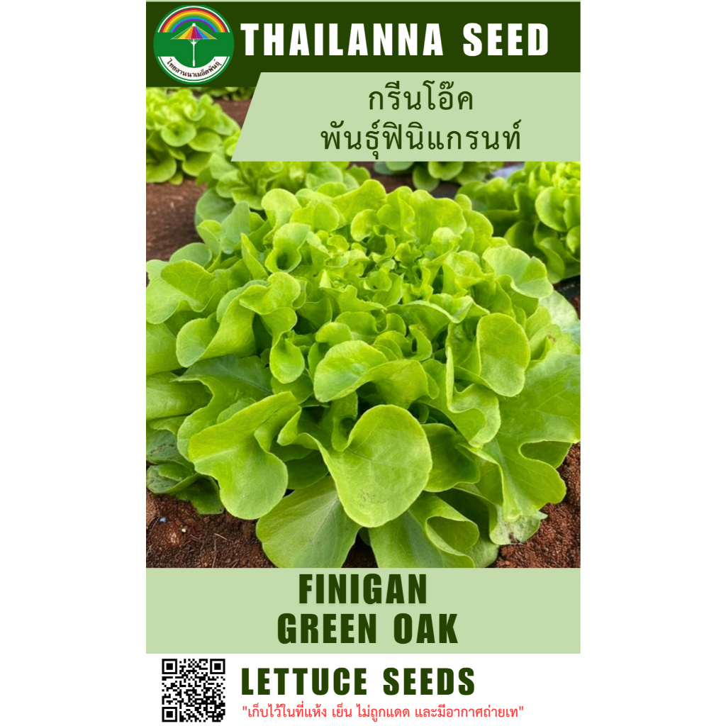 เมล็ดพันธุ์ผักสลัด กรีนโอ๊ค พันธุ์ฟินิแกรนท์ ( ขนาด 0.5 กรัม ) รหัสสินค้า 3040