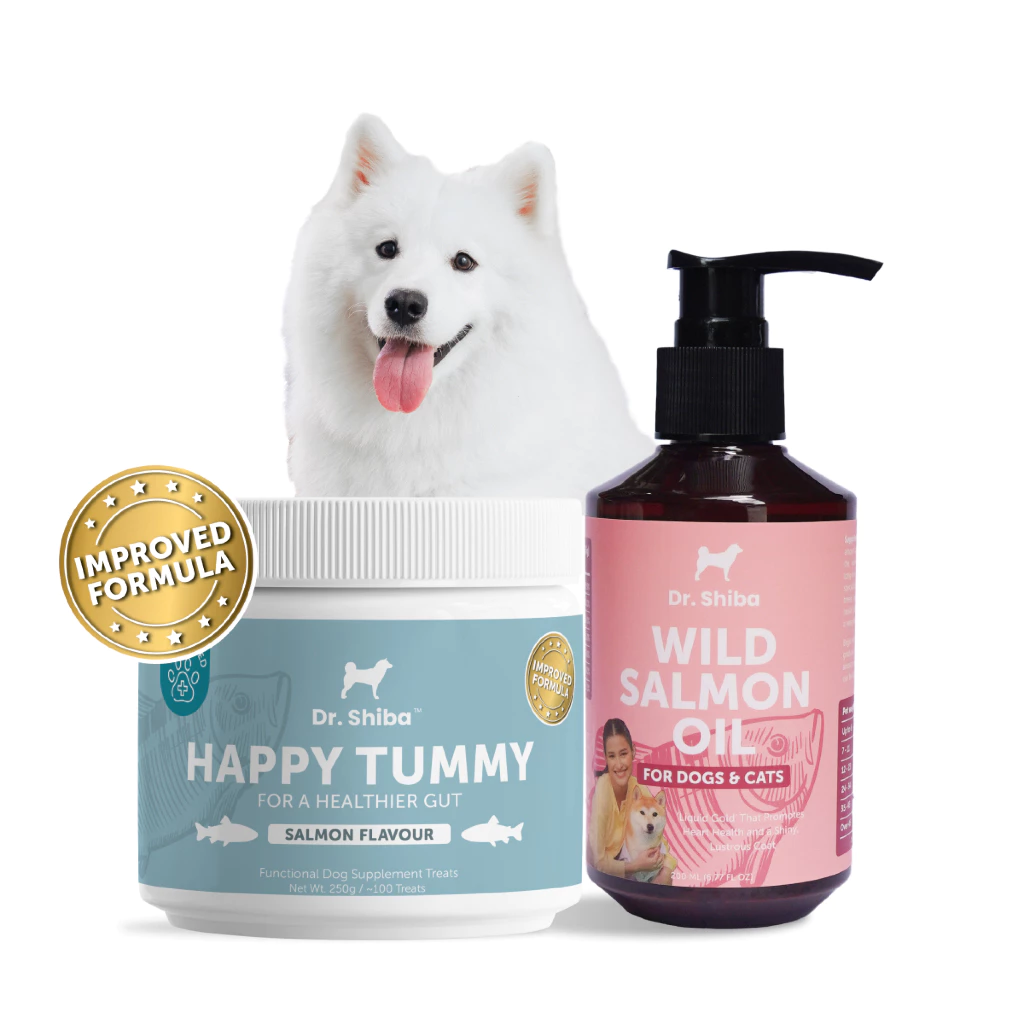 *พัฒนาสูตรใหม่* Dr.Shiba Happy Tummy และ Salmon Oil แพ็คคู่ ขนมสุนัข รสเป็ด/เนื้อ/แซลมอน 250 กรัม และ น้ำมันปลาแซลมอน