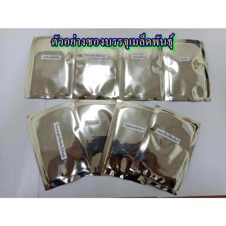 200+ เมล็ด เมล็ดมะเขือพวง พวงเงิน TA097 (ปลูกง่าย อัตรางอก 70% เป็นพันธุ์ไร้หนาม ผลกลม ผิวสีเขียว ลำต้นแข็งแรง ทรงพุ่ม) - รูปที่ 2