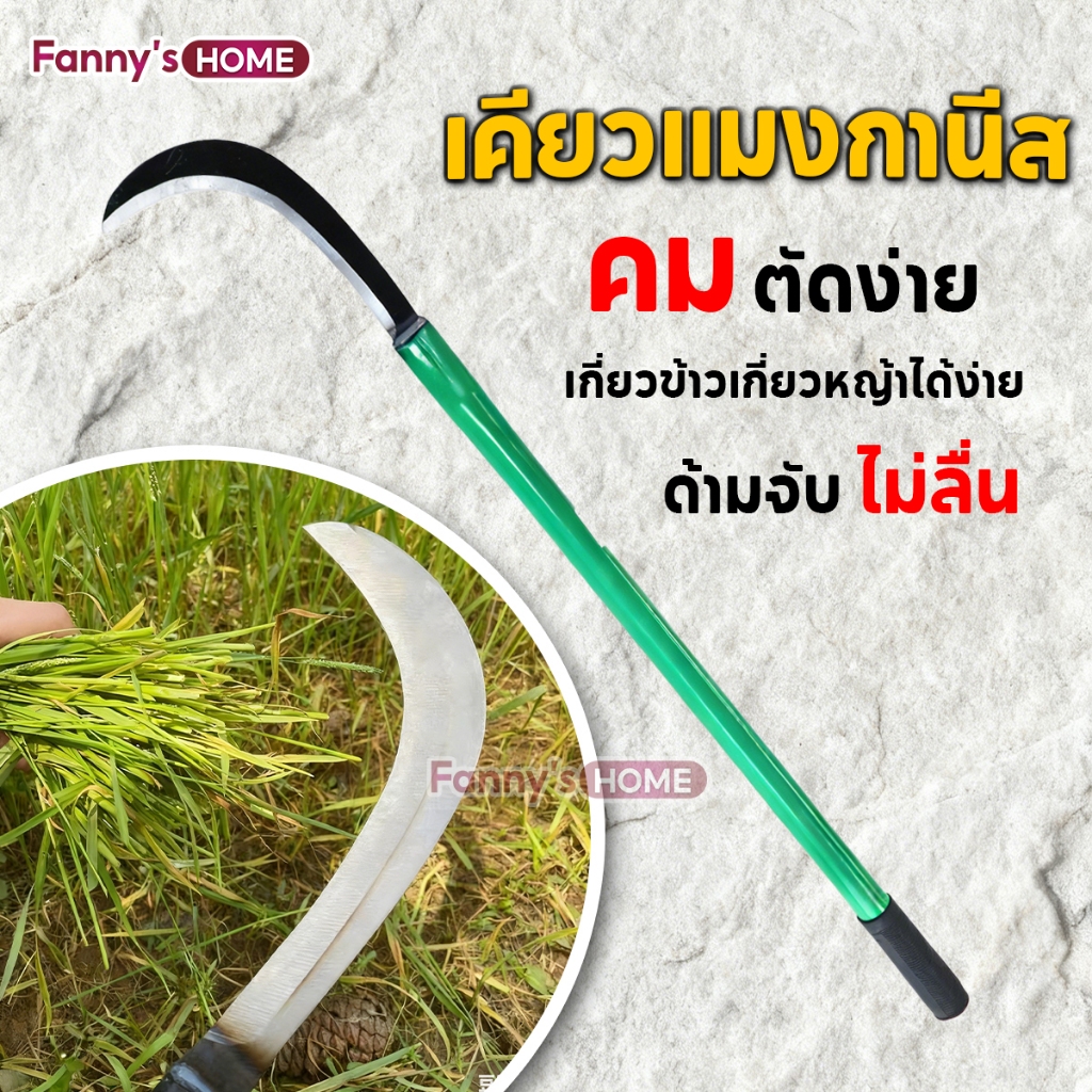 💥คมกริบ💥เคียว80CM เคียวเหล็กแมงกานีส  มีดพร้า มีดขอชัก มีดขอชักกล้วย ตัดแต่งใบกล้วย มีดตัดกล้วย ด้ามยาว แข็งแรง พร้อมส่ง