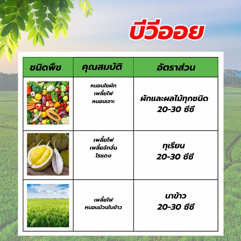 บีวีออย (ขนาด 1 ลิตร) สารสกัดน้ำมันจากธรรมชาติ สารเสริมฤทธิ์ช่วย คุม-ฆ่าไข่เพลี้ย หนอน ปลอดภัยต่อผู้ใช้เเละสิ่งเเวดล้อม ราคา ถูกที่สุด ดีลบีเคเค แกลเลอรีภาพที่ 3