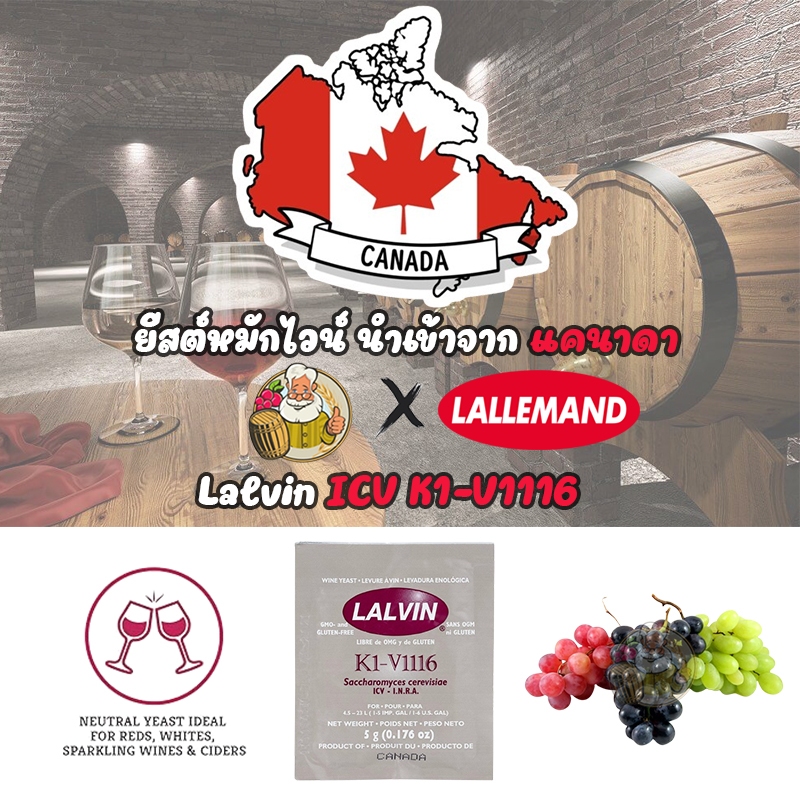ยีสต์หมักเครื่องดื่ม Lalvin Montpellier K1-V1116 Yeast