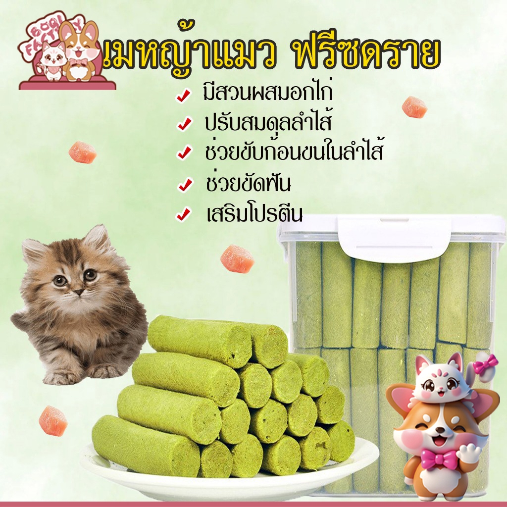 Boqi Factory  ขนมหญ้าแมวฟรีซดราย มีสว่นผสมอกไก่ ผลิตจากต้นอ่อนข้าวสาลี Catnip Sticks