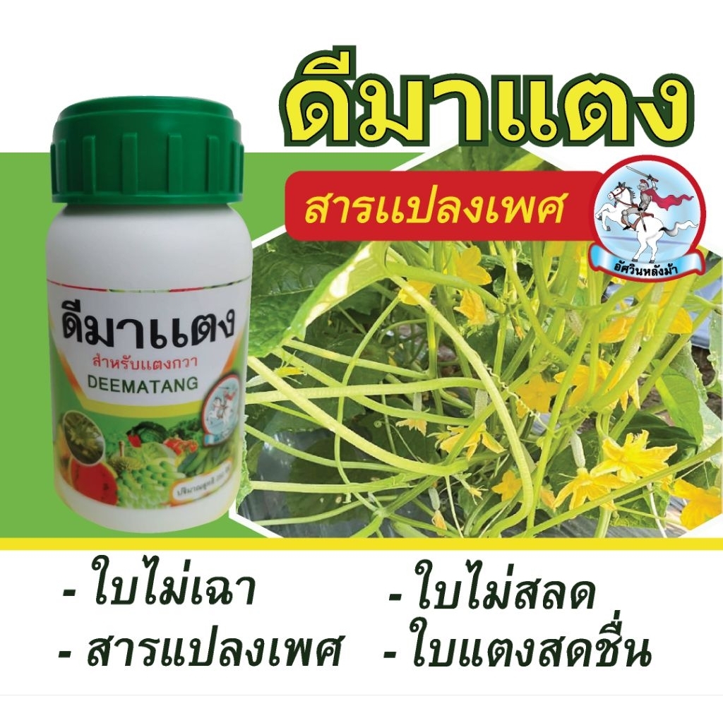ดีมาแตง สารแปลงเพศแตง ช่วยเพิ่มดอกตัวเมีย ใบไม่เฉา ใบไม่สลด เหมาะเกษตรกรปลูกแตง