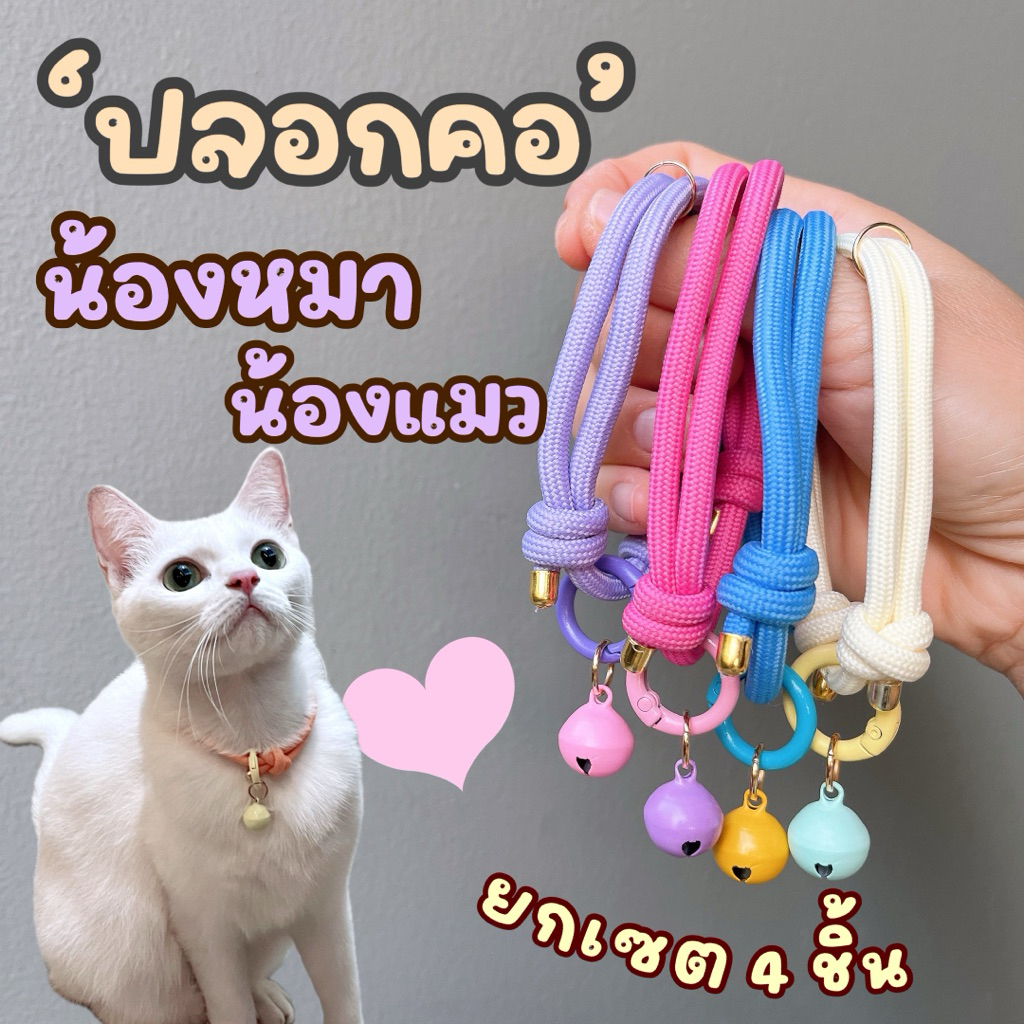 🔥เซต 4 เส้น🔥 ปลอกคอสไตล์มินิมอล รุ่นขายดี ใส่สบาย เชือกนิ่ม ไม่ระคายน้อง ปรับขนาดได้