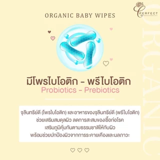PERFECT ผ้าเปียกออร์แกนิคเกรดพรีเมียม สูตรพรีไบโอติค โพรไบโอติค อ่อนโยนพิเศษ ผ้าหนานุ่ม ชุ่มน้ำ แผ่นใหญ่ที่สุด