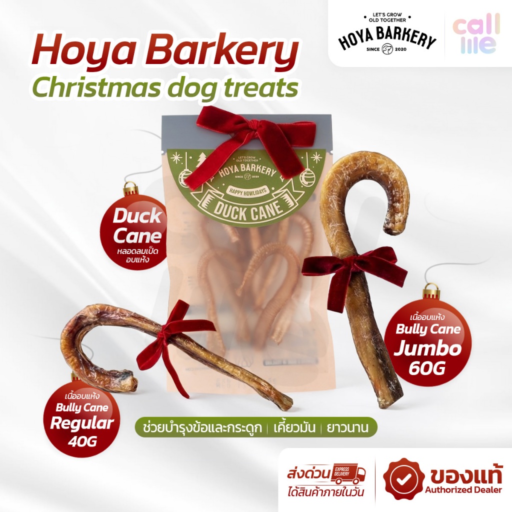 Hoya Bully Cane (limited time offer) ตัวเดียววัว คริสต์มาสน้องหมา Hoya Barkery Christmas dog treats
