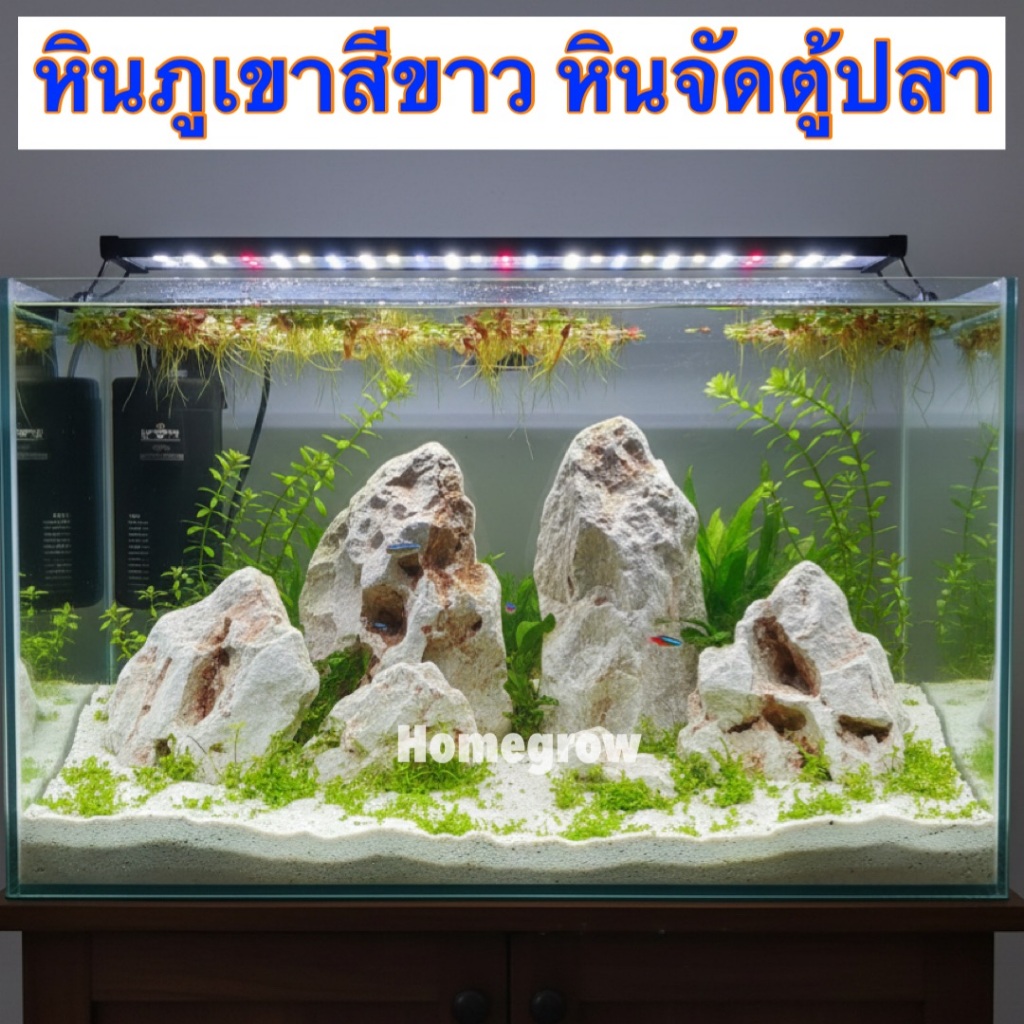 หินภูเขาสีขาว รวม1กิโล หินตกแต่งตู้ปลา หินจัด Layout หินจัดตู้ปลา Seiryu Stone หินขาว