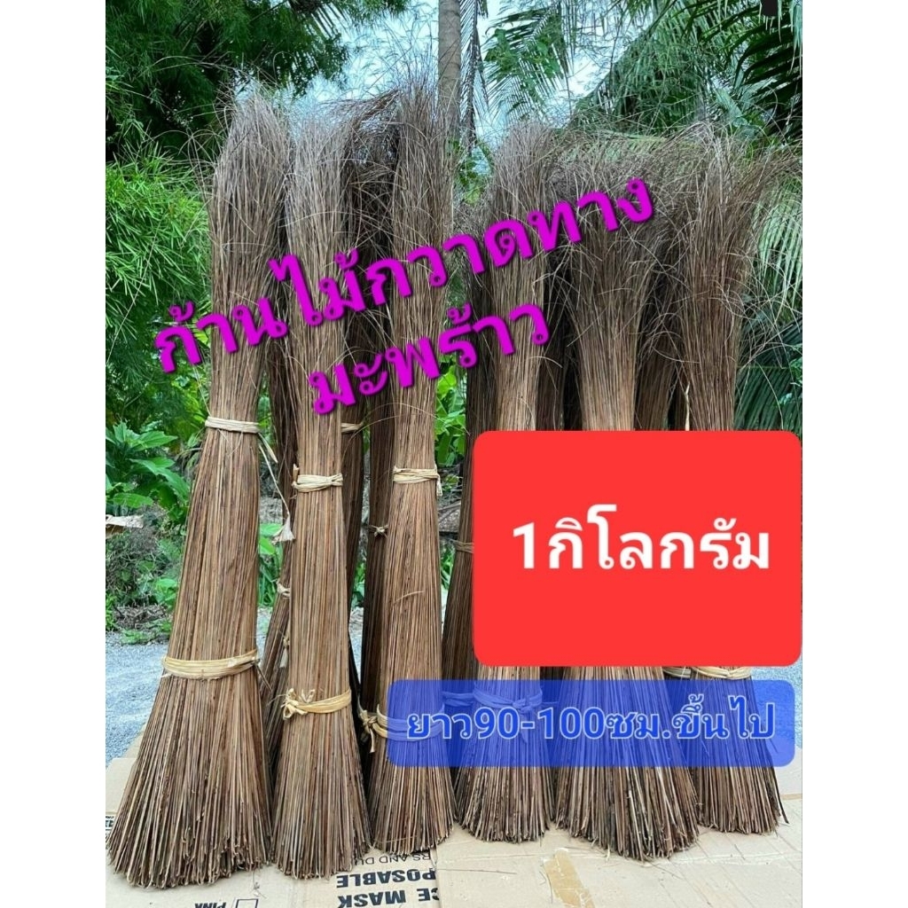 《พร้อมส่ง》ก้านมะพร้าวแห้ง ก้านมะพร้าว ก้านไม้กวาด สูง90-100ซม.ขึ้นไป