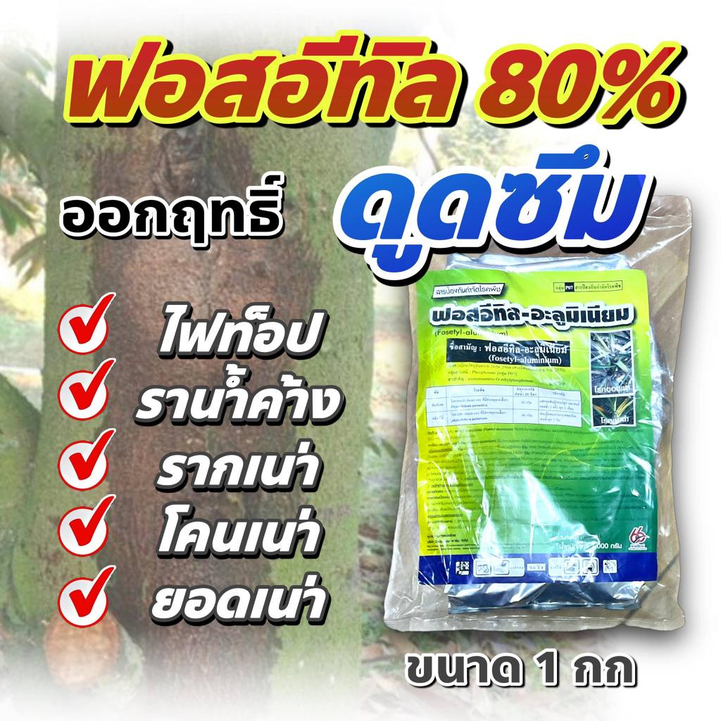 ฟอสอีทิล 66 ฟอสอีทิล-อะลูมิเนียม (fosetyl-aluminium) สูตร 80% WP ขนาด 1 กก สารกำจัดโรคพืช โรคเน่า