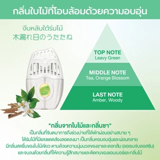 Shaldan Premium Aroma Air Freshener: Herbal Series-Sleeping in sunlight น้ำหอมปรับอากาศพรีเมี่ยมอโรม่าสำหรับห้อง