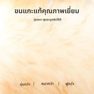 ไม้ปัดฝุ่นขนแกะ ไม้ปัดฝุ่นรถยนต์ ขนหนานุ่มฟู ความยาว 242 ซม.สำหรับทำความสะอาดบ้าน ซักทำความสะอาดได้ โค้งงอและถอดออกได้
