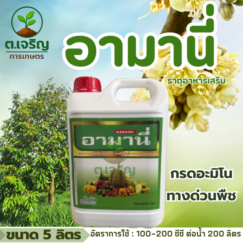 อามานี่ โซตัส (ขนาด 5 ลิตร) ธาตุอาหารเสริม อะมิโนพืช ส่งเสริมการออดอกและติดผล ช่วยฟื้นฟูสภาพต้น
