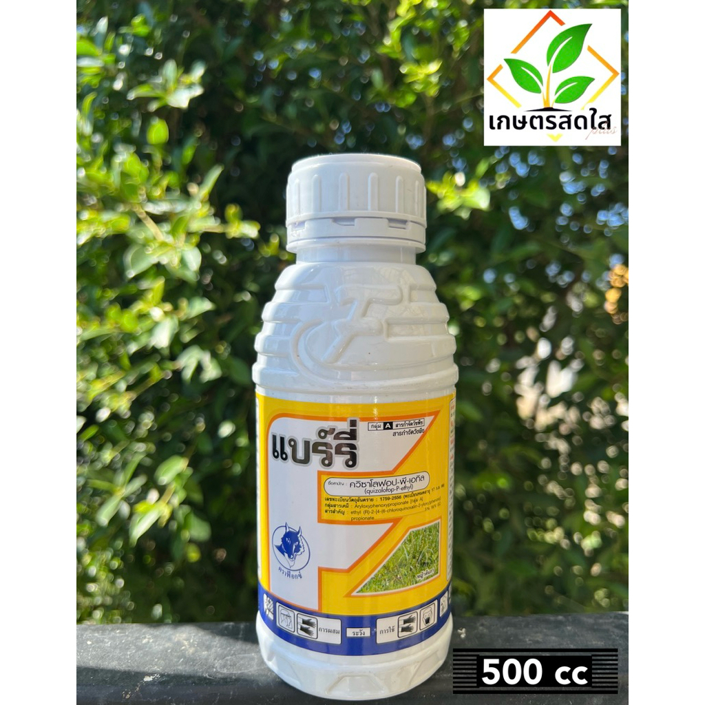 แบร์รี่ (คลิซาโลฟอบ-พีเอทิล) *ขนาด 500 ซีซี และ 1 ลิตร กำจัดวัชพืชเฉพาะใบแคบ หญ้าปากควาย หญ้าตีนกา