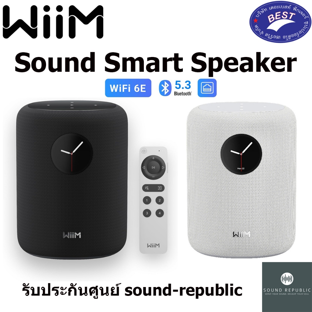 WiiM Sound Smart Speaker
