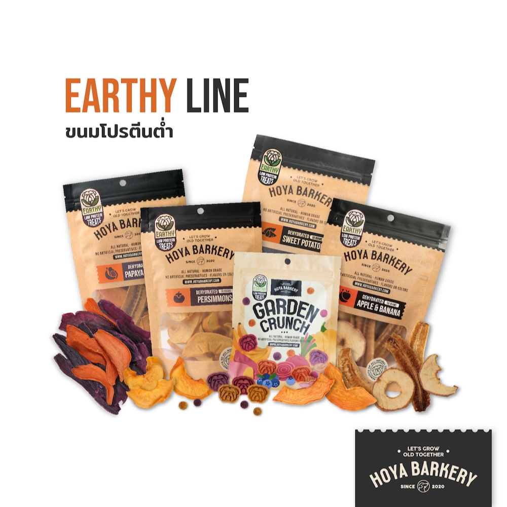 คุ้กกี้ผลไม้ผัก ผลไม้อบแห้ง Hoya Barkery ขนมน้องหมา โปรตีนต่ำ