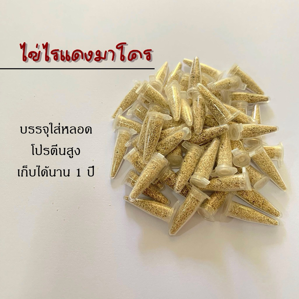 ไข่ไรแดง  M.macrocopa ปลอดโรติเฟอร์ ราคาต่อ 1 หลอด
