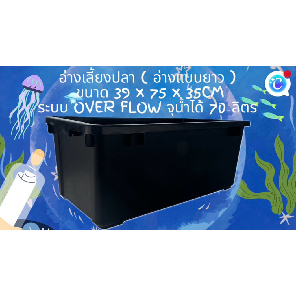 อ่างเลี้ยงปลา 70 ลิตร ระบบoverflow 39x 75x 31cm อ่างเปล่า อ่างปลา อ่างเลี้ยงปลา กะบะปลา อ่างปลาบอลลู