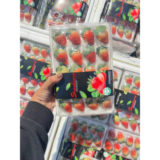 ส่งด่วน 4 ชม. สตอเบอร์รี่จีน สตอเบอร์รี่นำเข้าจากประเทศจีน แพ็คละ 20 ลูก หวานอมเปรี้ยว น้ำหนัก 350 กรัม ตู้ใหม่ สวย สด