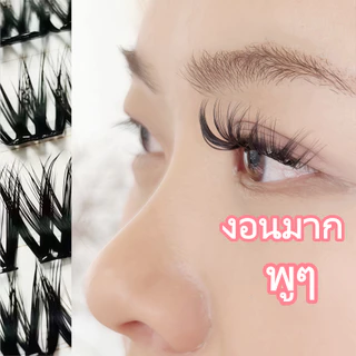 ขนตาปลอมมีกาวในตัว ขนตาปลอมแบบช่อ น้ำหนักเบา สวยธรรมชาติ ติดง่ายใน1วินาทีเส้นขนตาบางต่อกิ่งขนตา