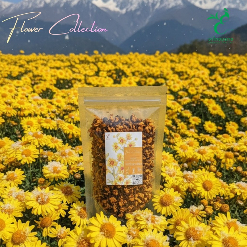 ชาเก๊กฮวยหิมะพรีเมี่ยม ตรา ชาไทยมรกต Snow Chrysanthemum Tea ดอกเต็ม บำรุงปอด ลดร้อนใน ชาดอกไม้ระดับพรีเมี่ยม