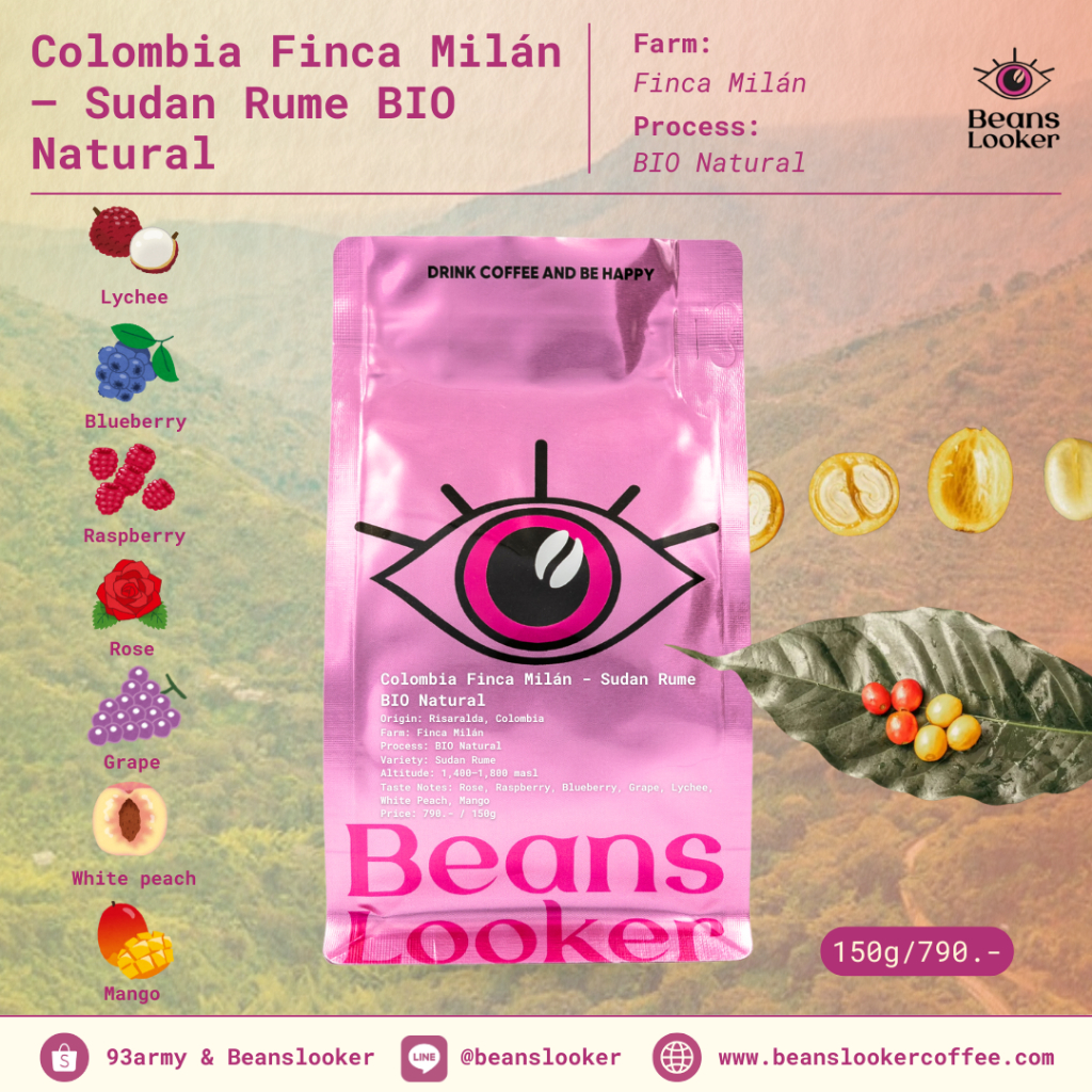 Colombia Finca Milán – Sudan Rume BIO Natural