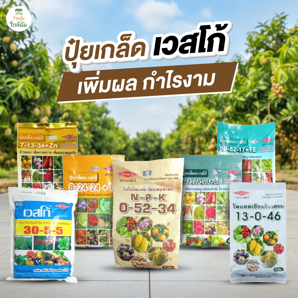 ปุ๋ยเกล็ด เวสโก้ ปุ๋ย 8 24 24 ปุ๋ย 0 52 34 ปุ๋ย 7 13 34 ปุ๋ย 21 21 21 เร่งใบ เร่งดอก ทำหวาน ปุ๋ยเคมี