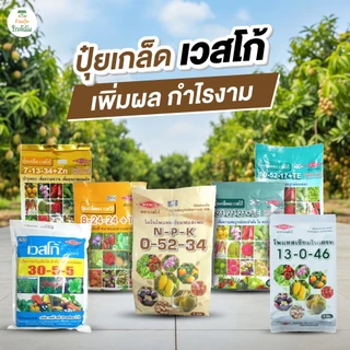ปุ๋ยเกล็ด เวสโก้ 8-24-24+TE, 0-52-34, 7-13-34+Zn, 21-21-21+TE เร่งใบ ดอก ทำหวาน ปุ๋ยเคมี ปุ๋ยสูตรเสมอ
