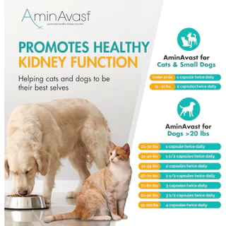 Preorder28Aug❌ตัวแทน Renavast😻AminAvast Kidney Support for Cats and small Dogs 60 Capsules นำเข้าจากUSA