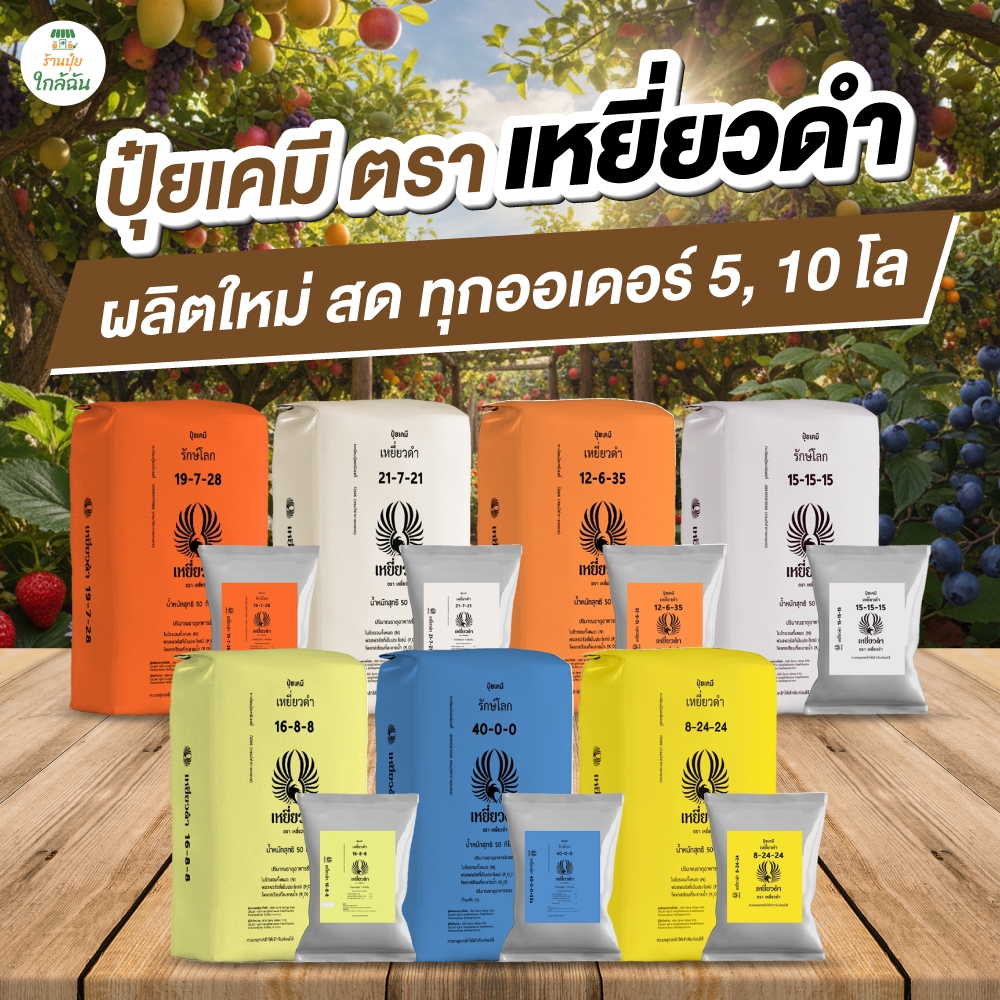 ปุ๋ยเคมี ปุ๋ยเหยี่ยวดำ ครบสูตร 5 กก.10 กก. ปุ๋ย 8 24 24 / 15 15 15 ปุ๋ยเร่งดอก เร่งใบ ขยายผล ฟื้นต้น
