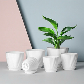 ‼️ถูก  และหนา‼️ กระถางพลาสติกสีขาว ลายเปลือกหอย พร้อมจานรอง …