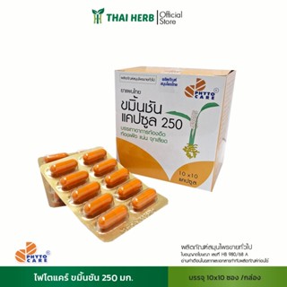 PHYTO CARE ขมิ้นชันแคปซูล 250 มก.