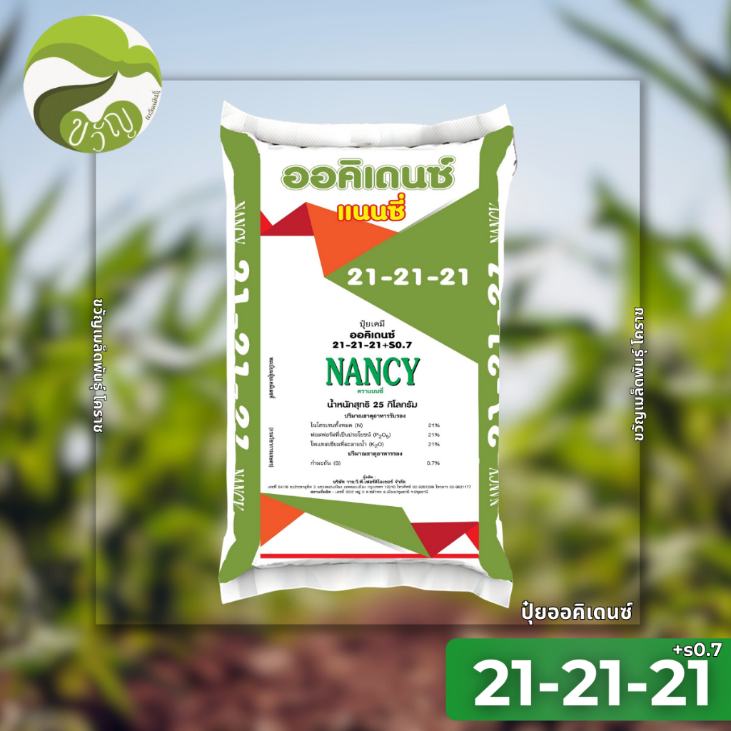 ปุ๋ยเกล็ด ออคิเดนซ์ แนนซี่ ระบบน้ำ ช่วยเจริญเติบโต บำรุง สูตร 21-21-21+s0.7 (บรรจุ 25 กิโลกรัม)
