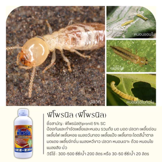 ฟิโพรนิล ไก่เกษตร 1ลิตร (ฟิโพรนิล) ป้องกันและกำจัดเพลี้ย หนอน ด้วง ไร